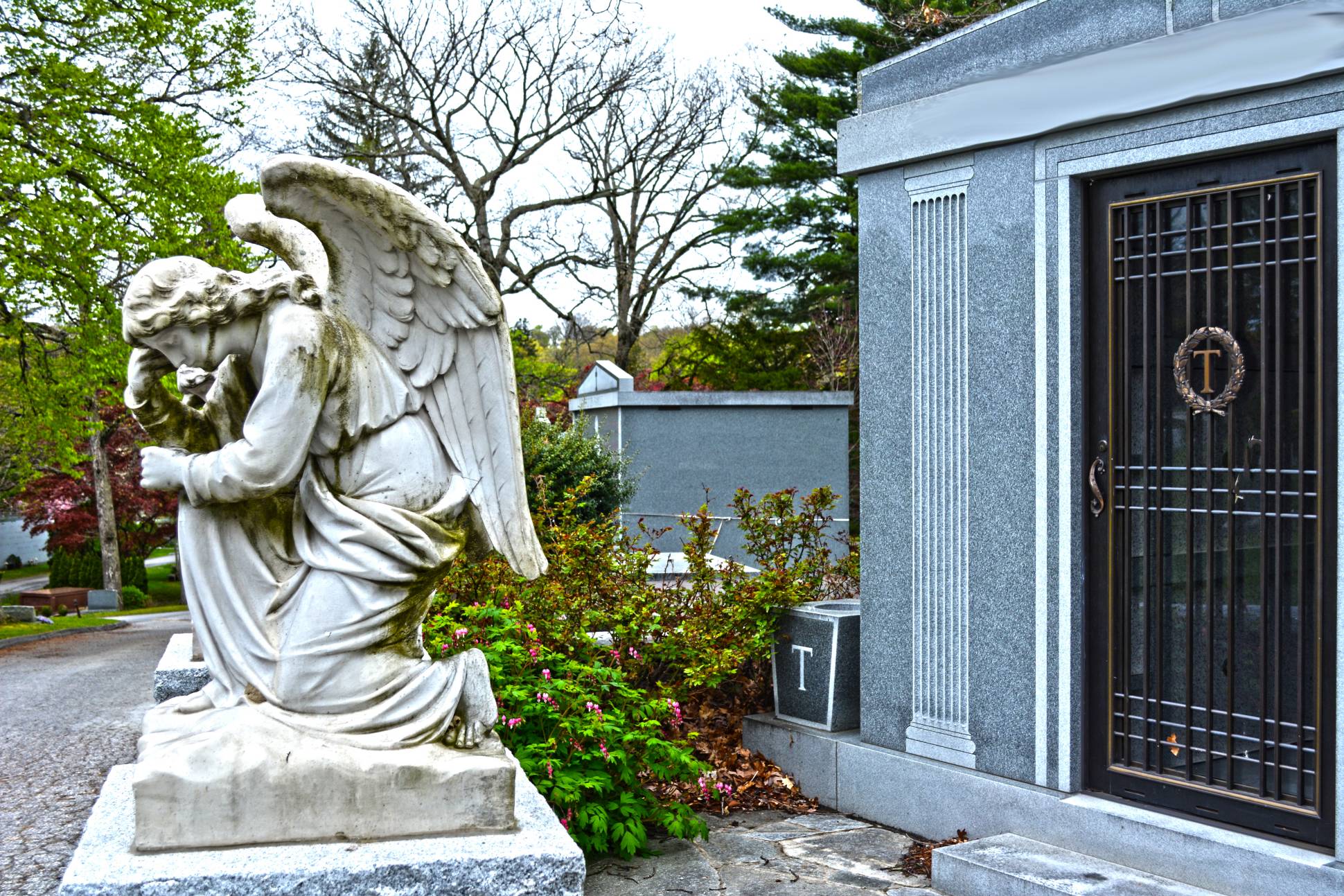Angel