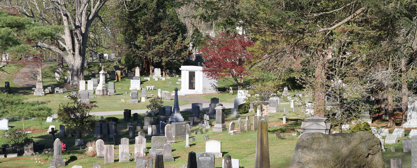 main-image1